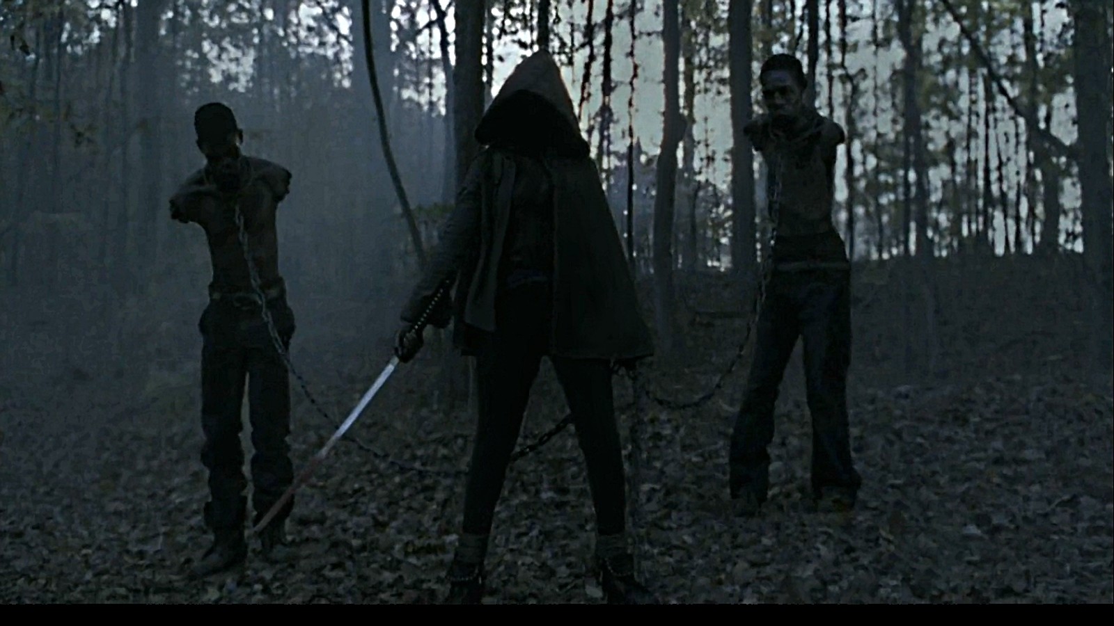 the, Walking, Dead, Snapshot Wallpaper