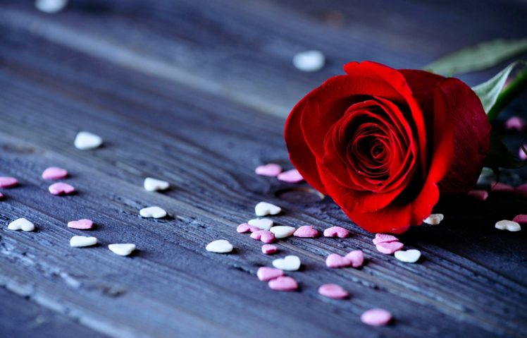 roses, Flowers, Love, Romance, Red, Hearts, Emotions, For, Girls, Lovers HD Wallpaper Desktop Background