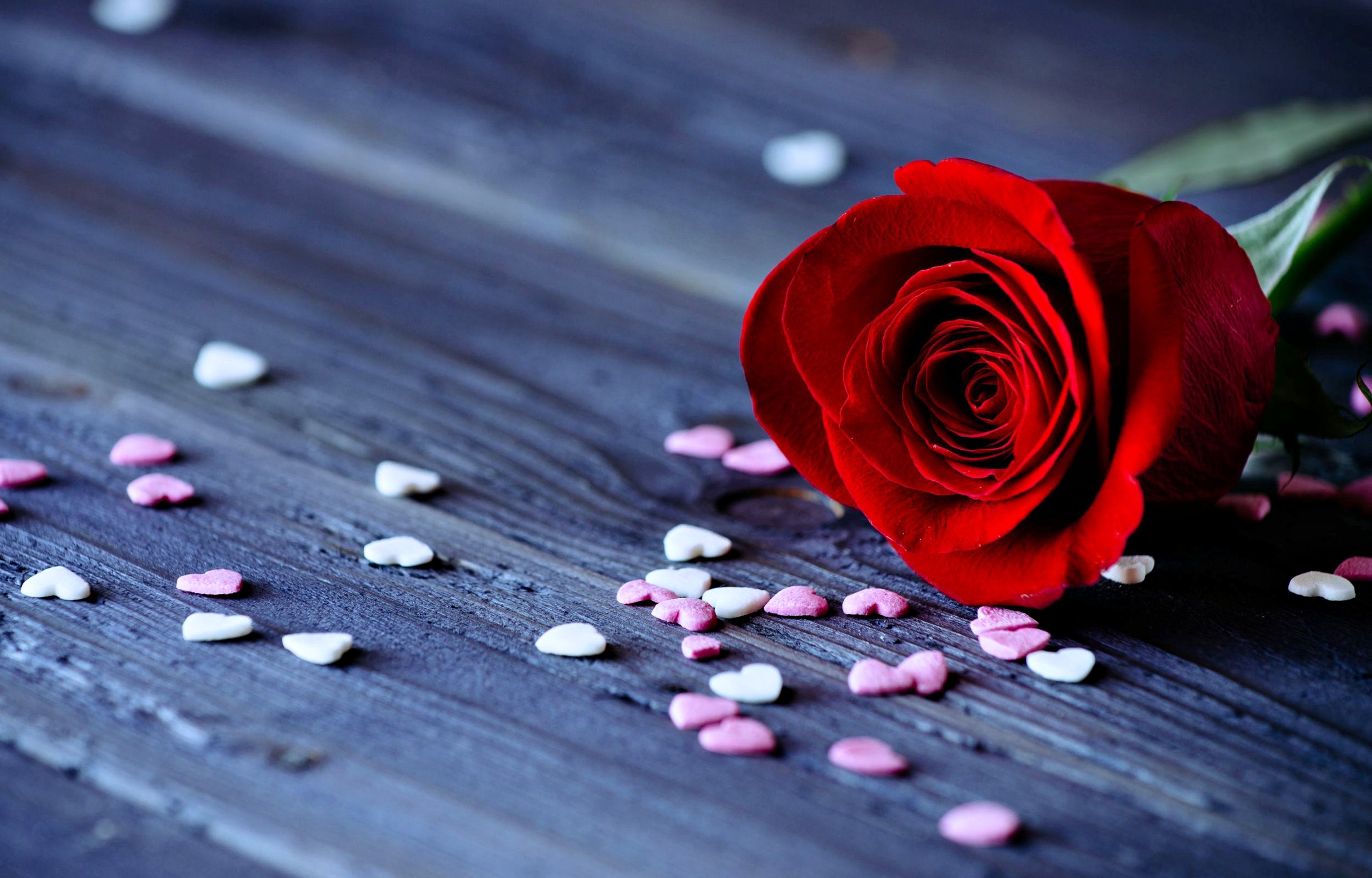 roses, Flowers, Love, Romance, Red, Hearts, Emotions, For, Girls, Lovers Wallpaper