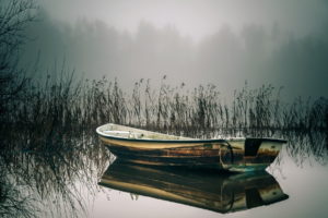 boat, Lake, Reeds, Reflection