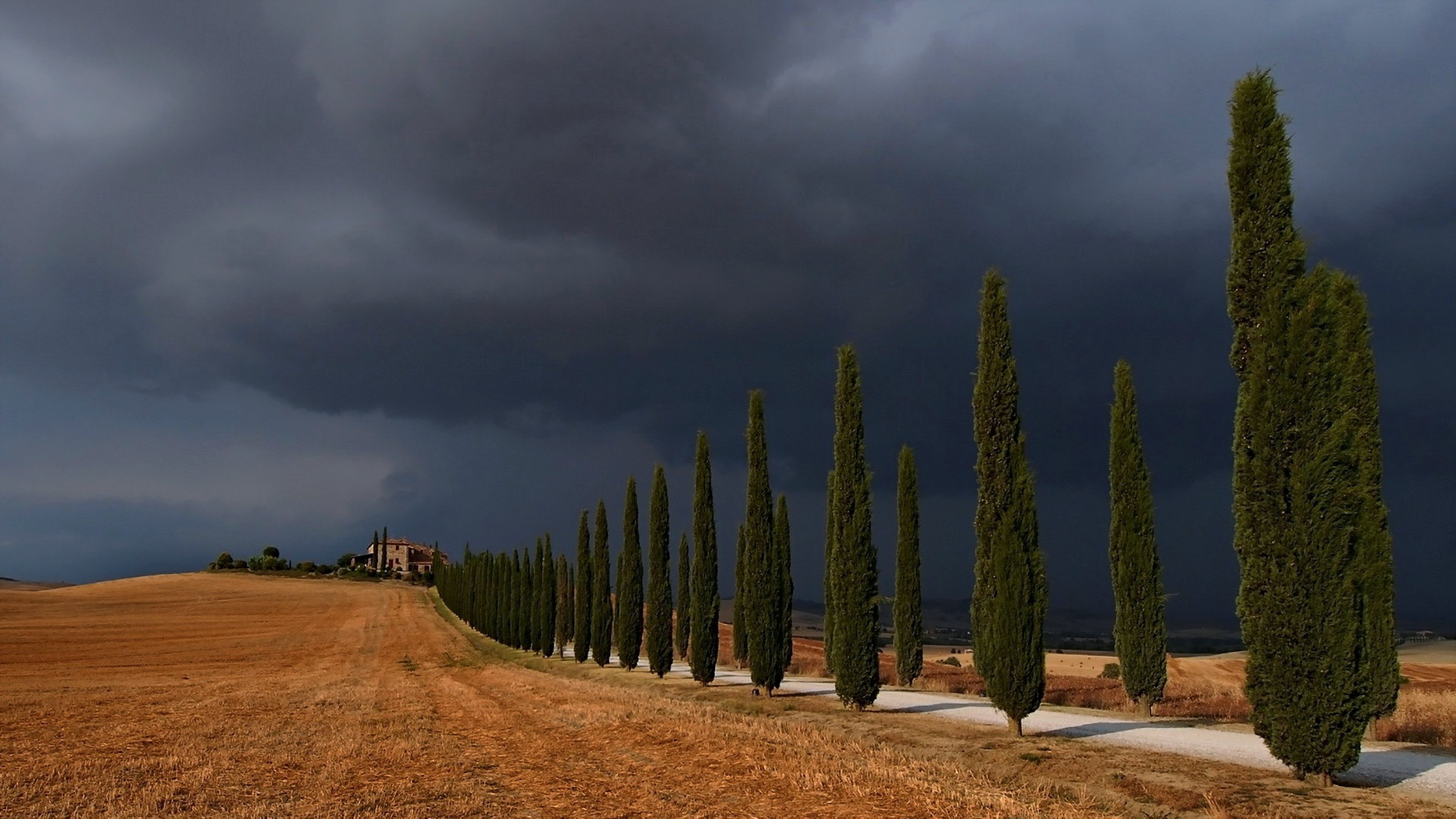 storm, Val, Dand039orcia, Trees, Road, Sky, Landscape, Nature, Fields, Clouds, Countryside, Rain Wallpaper
