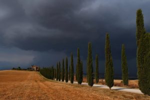 storm, Val, Dand039orcia, Trees, Road, Sky, Landscape, Nature, Fields, Clouds, Countryside, Rain