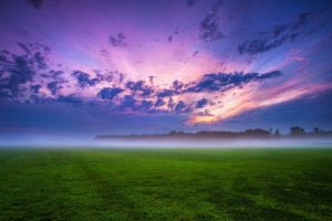 germany, Nature, Landscapes, Grass, Sky, Clouds, Fields, Sunset, Fog, Forest
