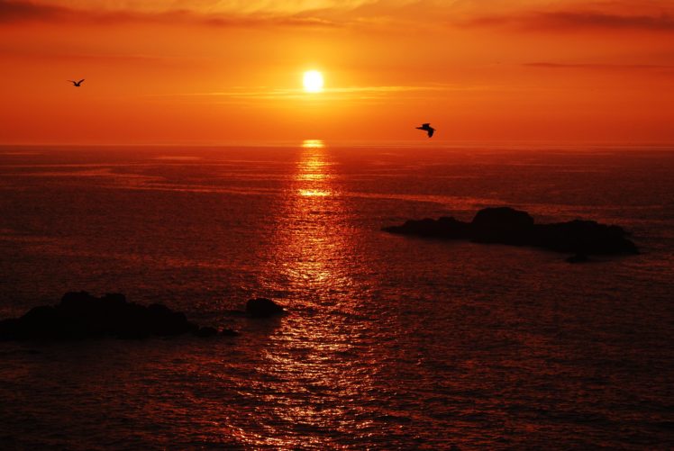 sunset, Birds, Sky, Red, Sea, Islands, Calm, Beauty, Emotions, Clouds HD Wallpaper Desktop Background
