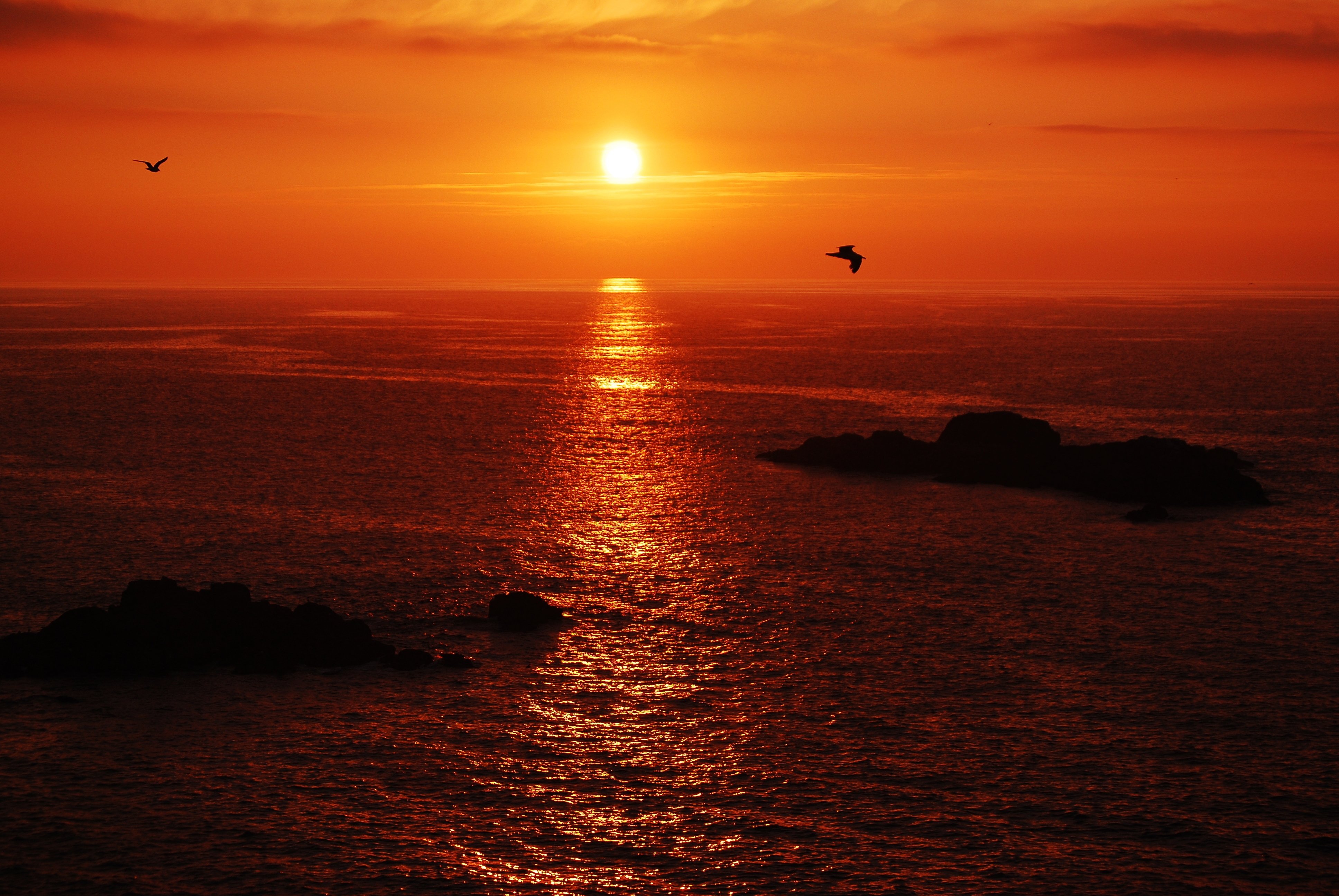 sunset, Birds, Sky, Red, Sea, Islands, Calm, Beauty, Emotions, Clouds Wallpaper