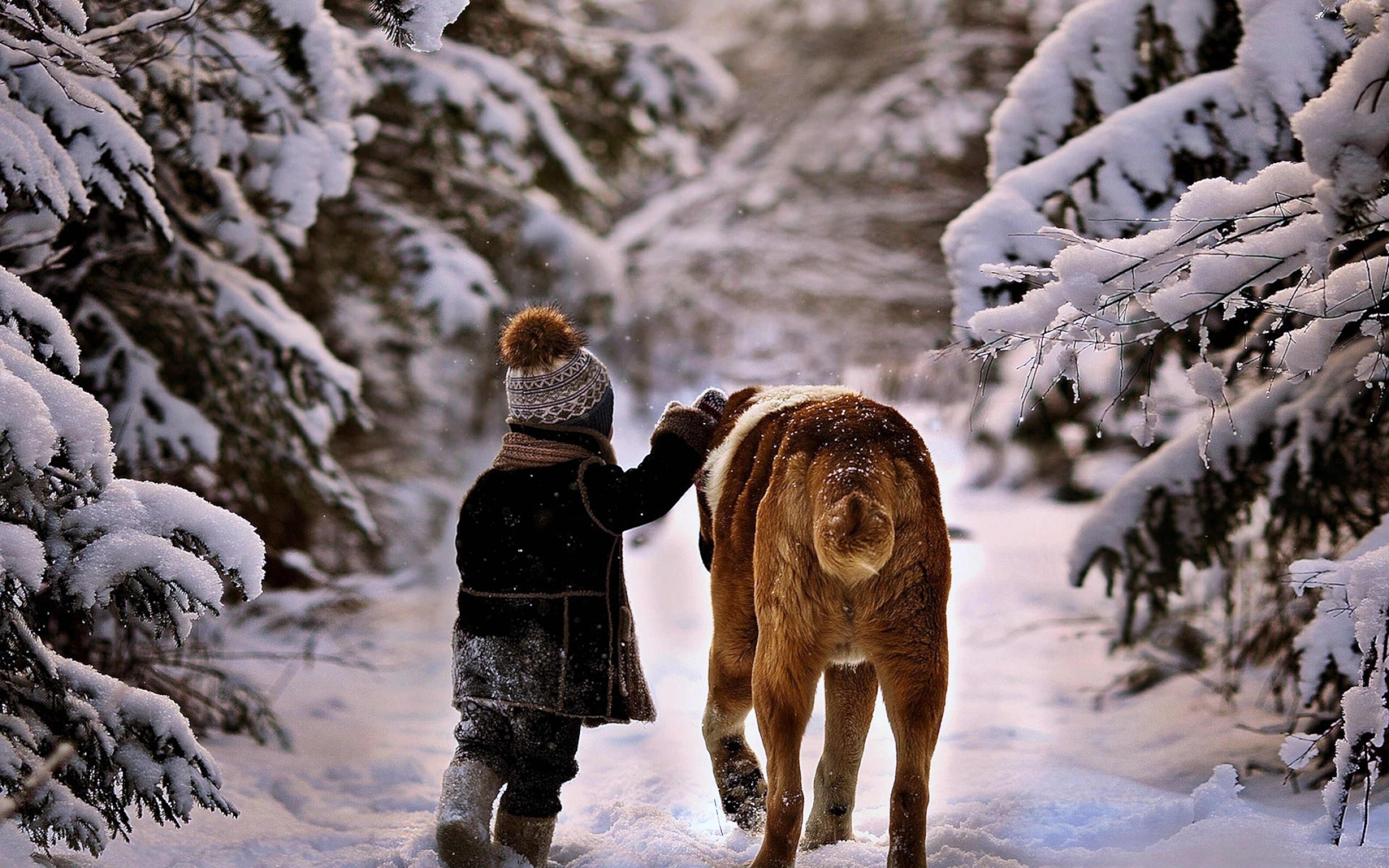 snow, Winter, Boy, Children, Cold, Kids, Dog, Animals, Friendship, Walk, Trees, White, Landscapes, Nature, Forest, Jungle, Way, Path Wallpaper