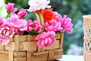 basket, Roses, Flowers, Gardens, Spring, Nature, Beauty, Love, Romance, Emotions, Life