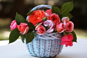 basket, Beauty, Emotions, Flowers, Gardens, Life, Love, Nature, Romance, Roses, Spring