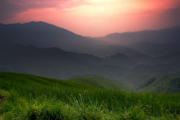 sunset, Over, A, Lawn, Landscape HD Wallpaper Desktop Background