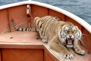 life, Of, Pi, Tigers, Boats, Roar, Movies