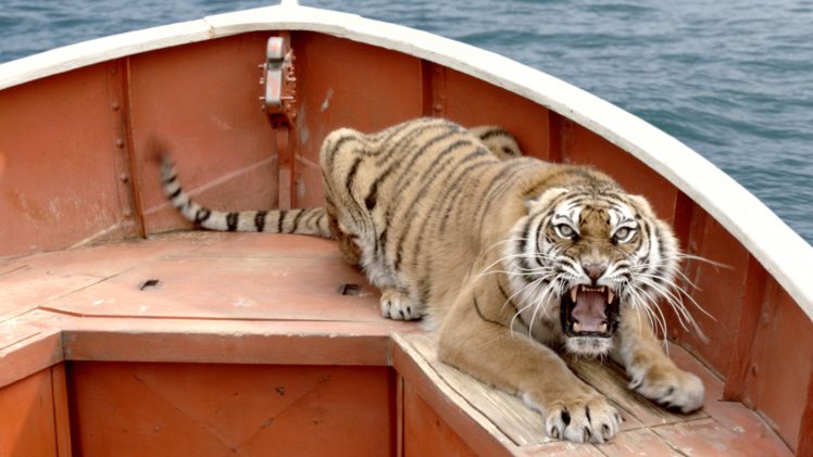 life, Of, Pi, Tigers, Boats, Roar, Movies HD Wallpaper Desktop Background