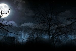 bitefight, Fantasy, Dark, Horror, Vampire, Werewolf, Monster, Online, Mmo, Evil, Action, Fighting, 1bfight, Strategy, Halloween, Spooky, Forest, Night, Moon