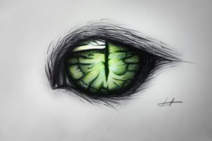 green, Cat, Eye