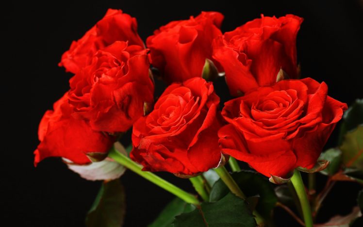 red, Roses, Flower, Bouquet, Love, Romance, Emotions, Girls, Lovers, Couples, Woman, Happy HD Wallpaper Desktop Background