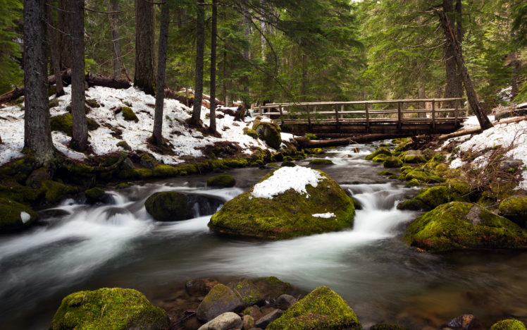 winter, Snow, Stream, River, Trees, Forest, Moss, Rocks, Stones, Bridge HD Wallpaper Desktop Background