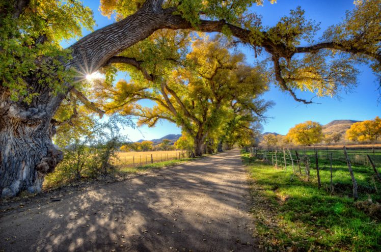 road, Trees, Sun, Scully, Valley, Arizona, Usa, Skull, Valley, Arizona HD Wallpaper Desktop Background