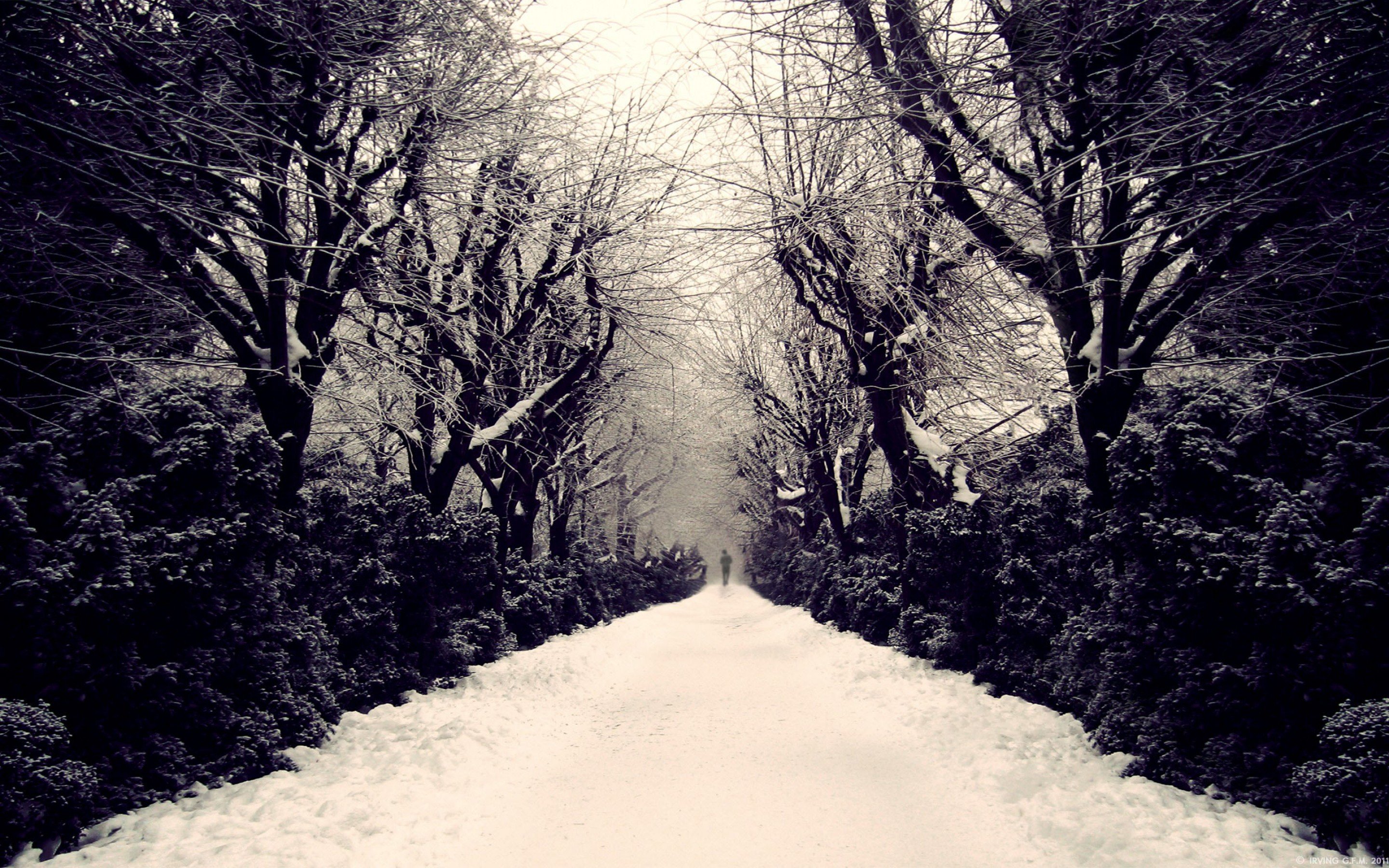 lonely, Mood, Sad, Alone, Sadness, Emotion, People, Loneliness, Solitude, Sorrow, Winter, Path, Road Wallpaper