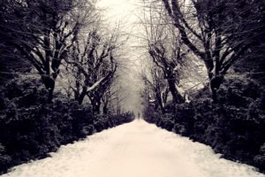 lonely, Mood, Sad, Alone, Sadness, Emotion, People, Loneliness, Solitude, Sorrow, Winter, Path, Road
