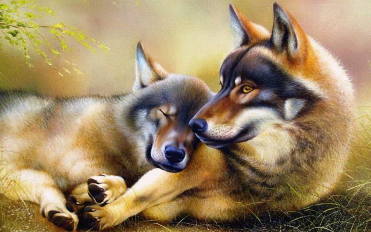 wolf, Wolves, Predator, Carnivore, Artwork HD Wallpaper Desktop Background