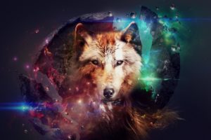 wolf, Wolves, Predator, Carnivore, Artwork