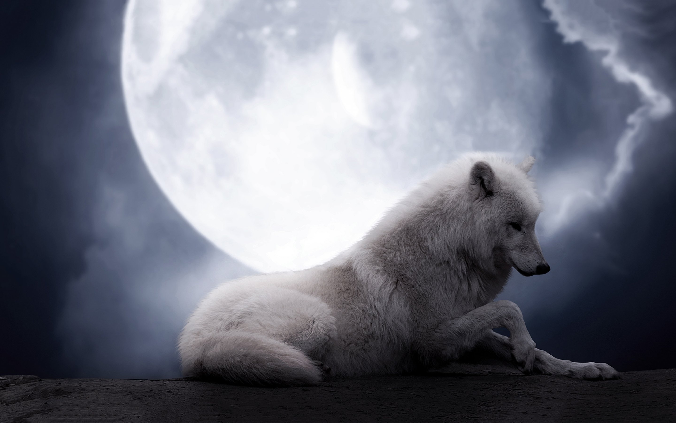 wolf, Wolves, Predator, Carnivore, Artwork, Moon Wallpaper