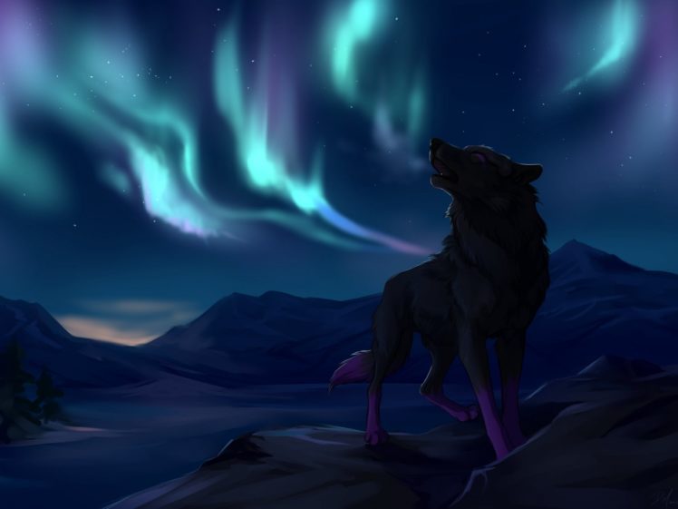 wolf, Wolves, Predator, Carnivore, Artwork, Sky HD Wallpaper Desktop Background