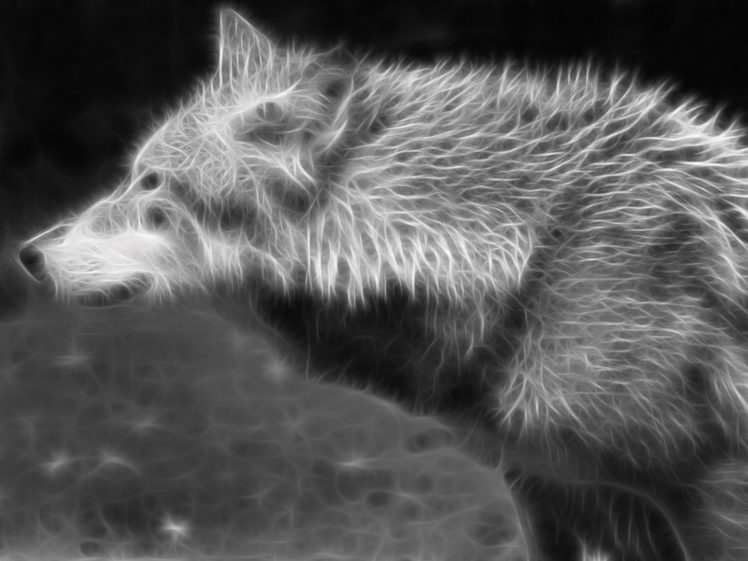wolf, Wolves, Predator, Carnivore, Fractal, Artwork HD Wallpaper Desktop Background