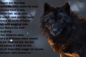 wolf, Wolves, Predator, Carnivore, Typography, Text, Quote