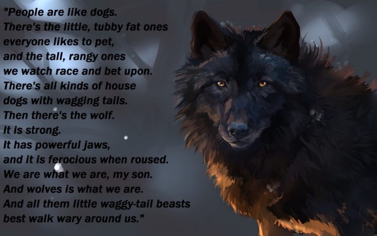 wolf, Wolves, Predator, Carnivore, Typography, Text, Quote HD Wallpaper Desktop Background