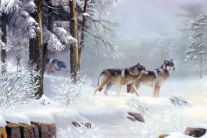 wolf, Wolves, Predator, Carnivore, Winter, Snow, Artwork, Forest