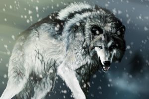 wolf, Wolves, Predator, Carnivore, Winter, Snow, Artwork