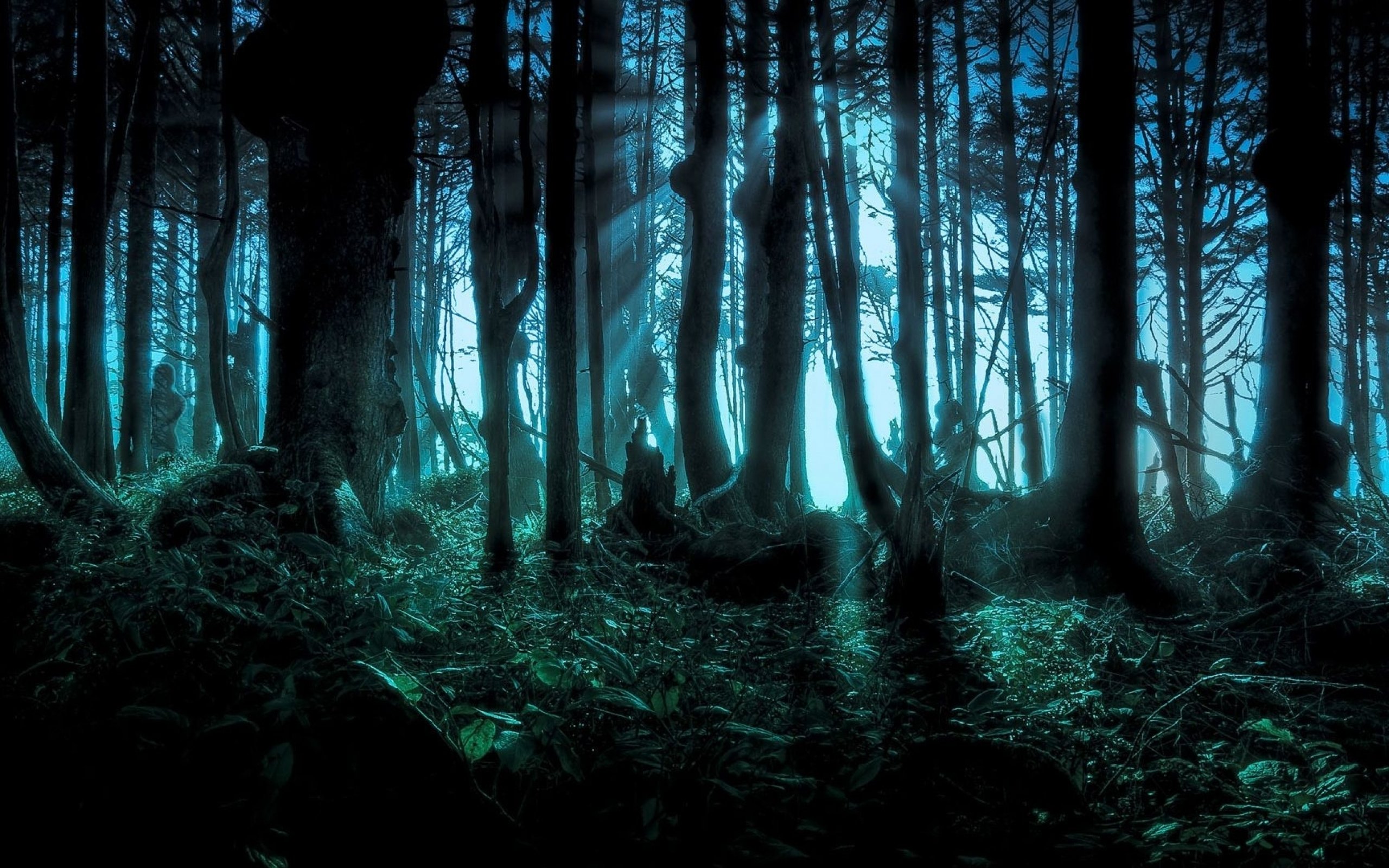 artwork, Fantasy, Magical, Art, Forest, Tree, Landscape, Nature Wallpaper