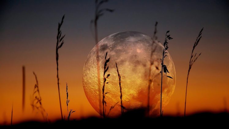 moon, Zoom, Landscapes, Plants, Sunset, Nature, Earth HD Wallpaper Desktop Background