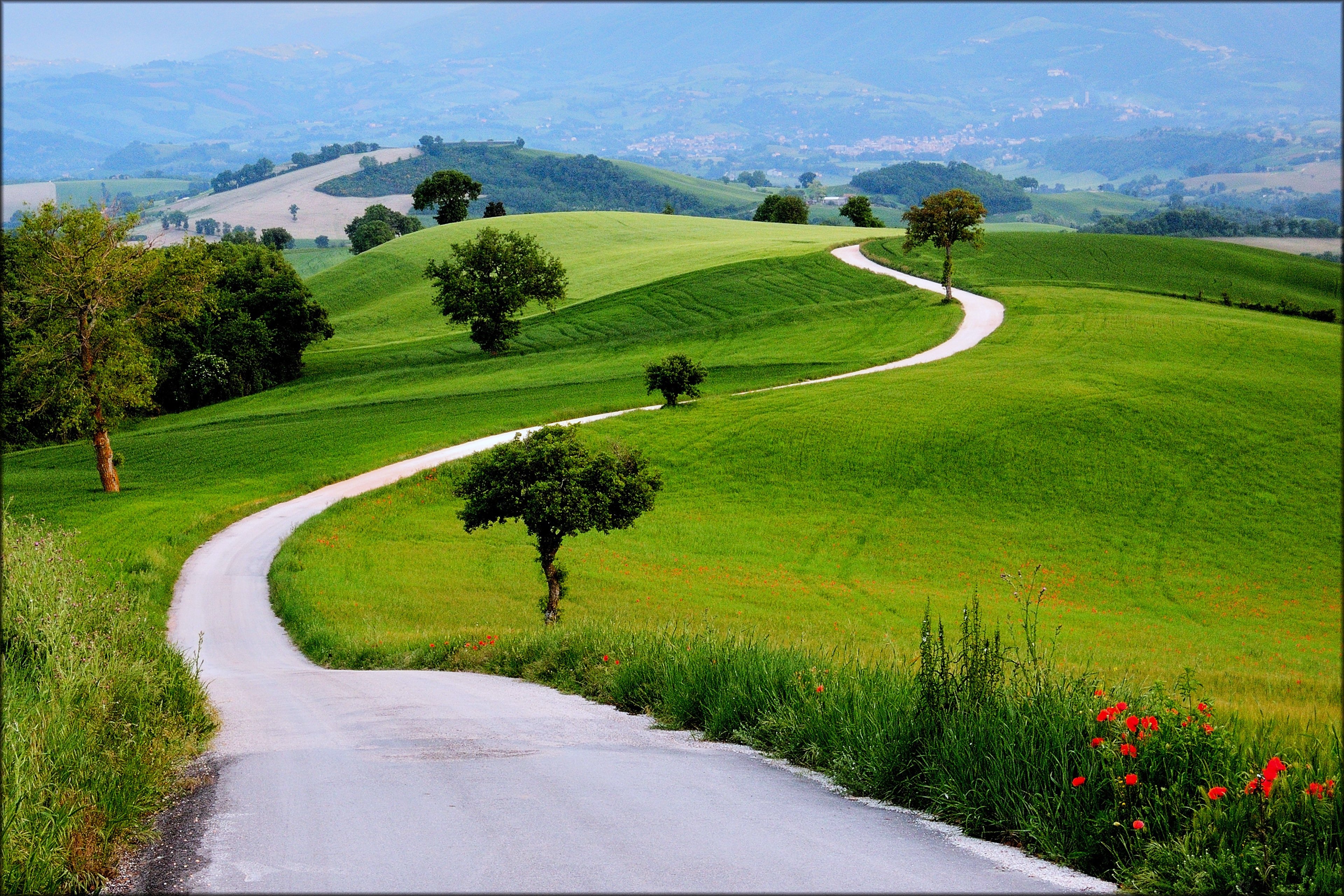landscapes, Nature, Earth, Way, Road, Path, Trees, Green, Grass, Hills, Spring, Mountains Wallpaper