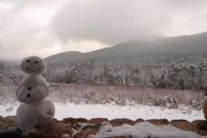 winter, Snowmen