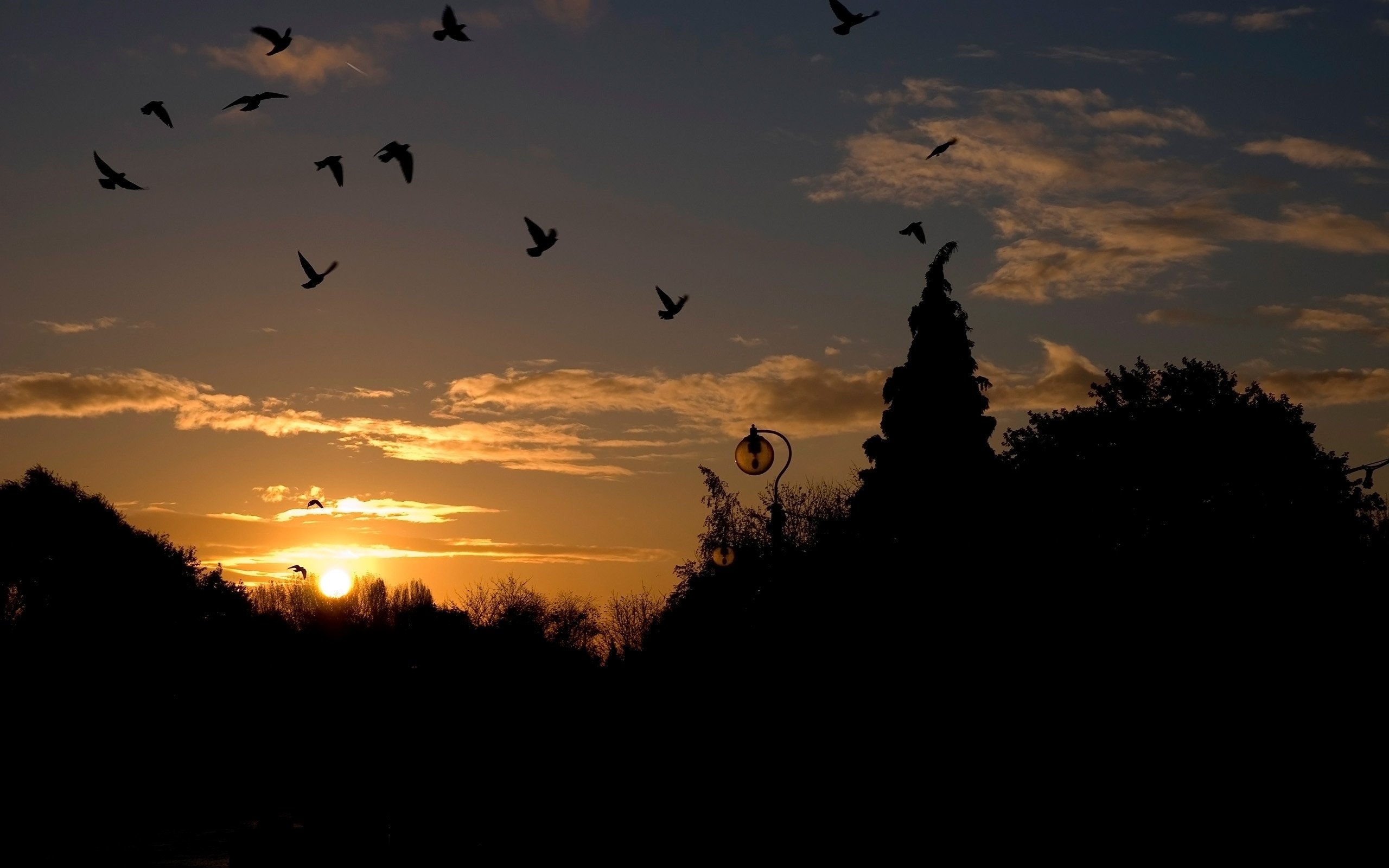sunset, Landscape Wallpaper