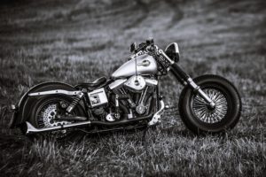 harley, Davidson, Classic, Old, Motorcycles, Speed, Style, Fields, Nature, Landscapes, Earth, Bike
