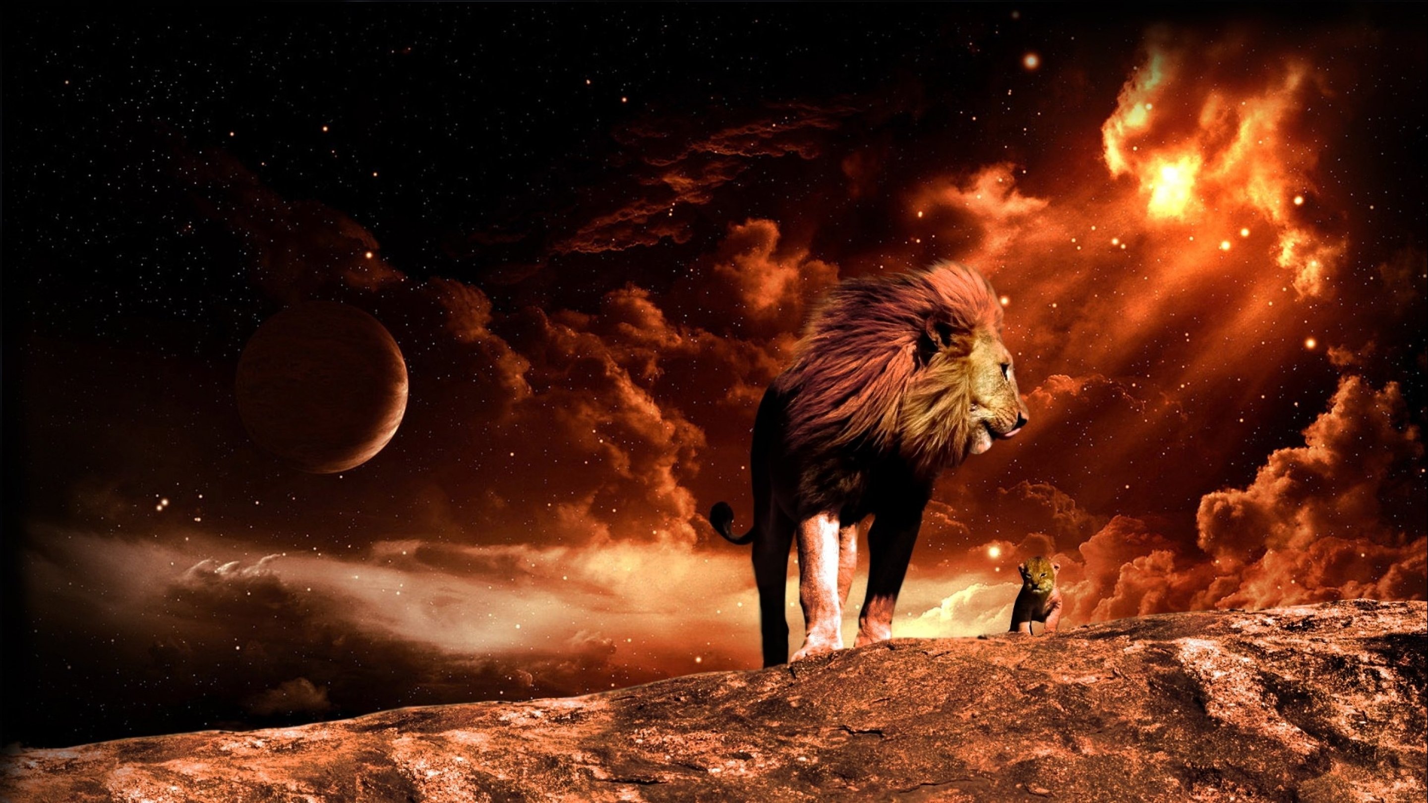 fantasy, Lion, Predator, Art, Artwork Wallpaper