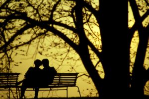 photography, Couple, Love, Tree, Silhouette, Romance, Bench, Park