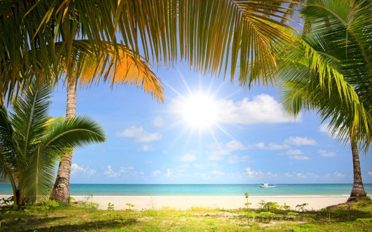 coast, Boat, Sea, Palm, Trees HD Wallpaper Desktop Background