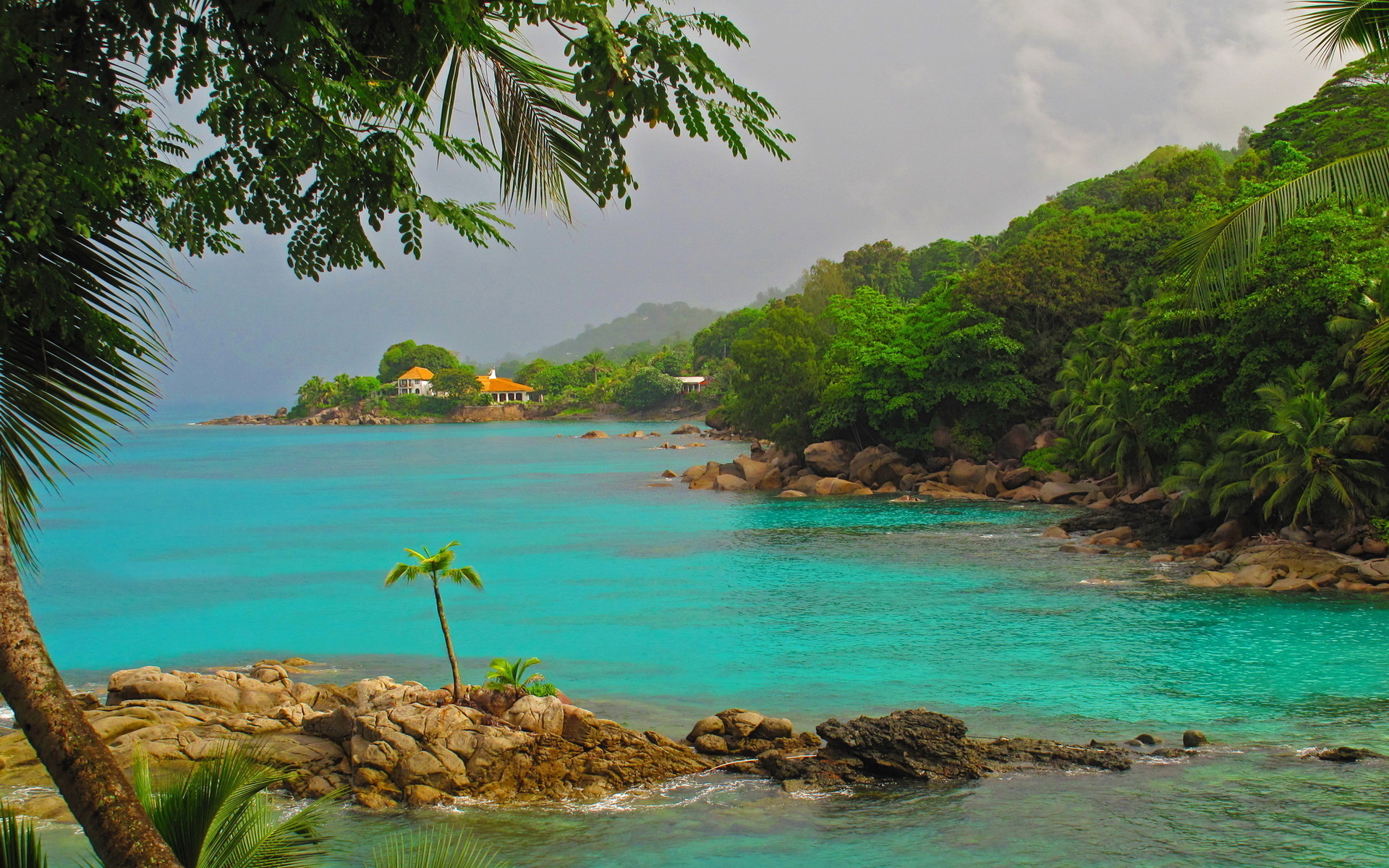 sea, Rocky, Shore, Palm, Trees, Landscape Wallpaper