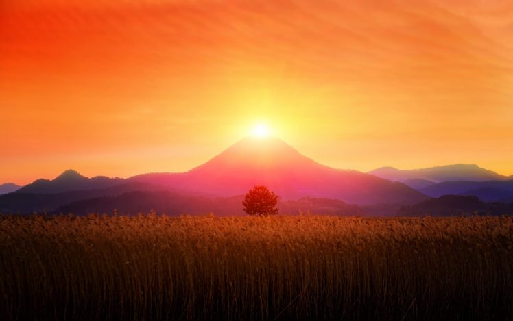 sunset, Sun, Mountains, Field, Tree, Landscape, Nature HD Wallpaper Desktop Background