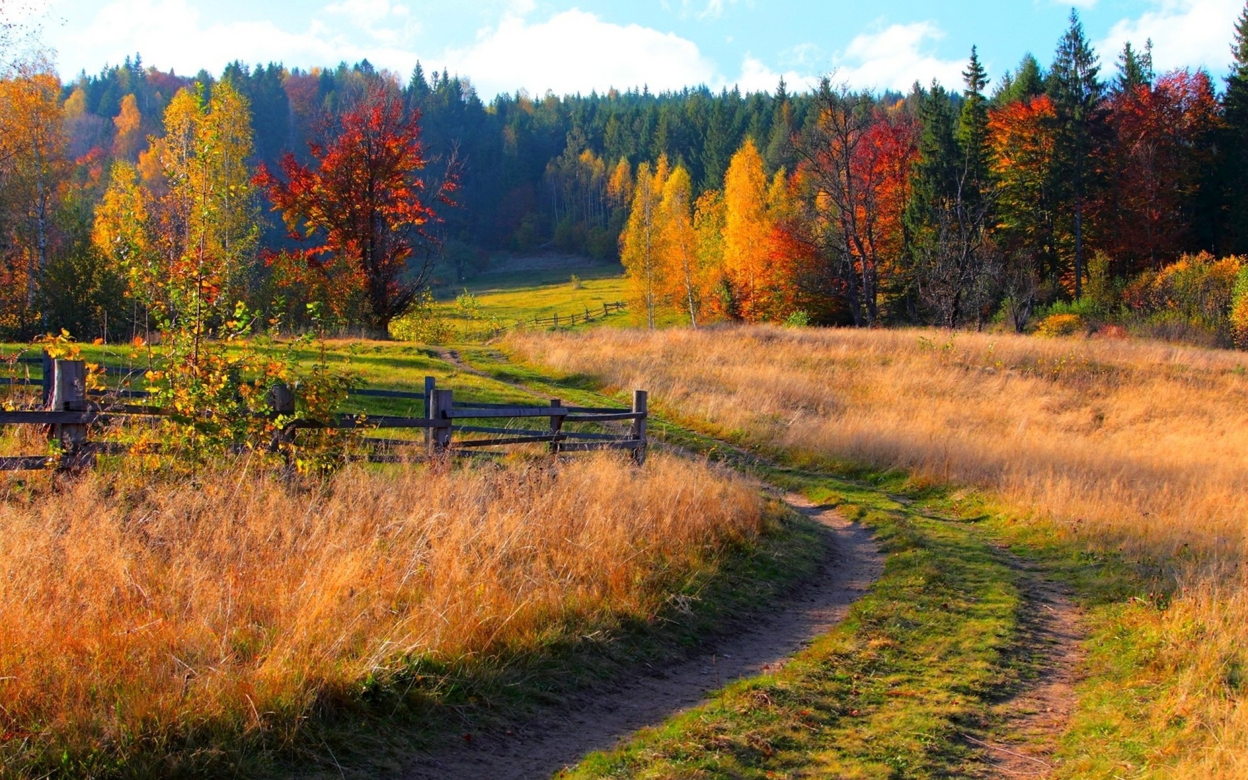 Золотой пейзаж. Красивая осень в деревне. Осень в России. Осенний пейзаж в деревне. Осень дорога в деревне.