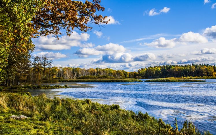 river, Forest, Trees, Nature, Landscape, Hdr, Autumn HD Wallpaper Desktop Background