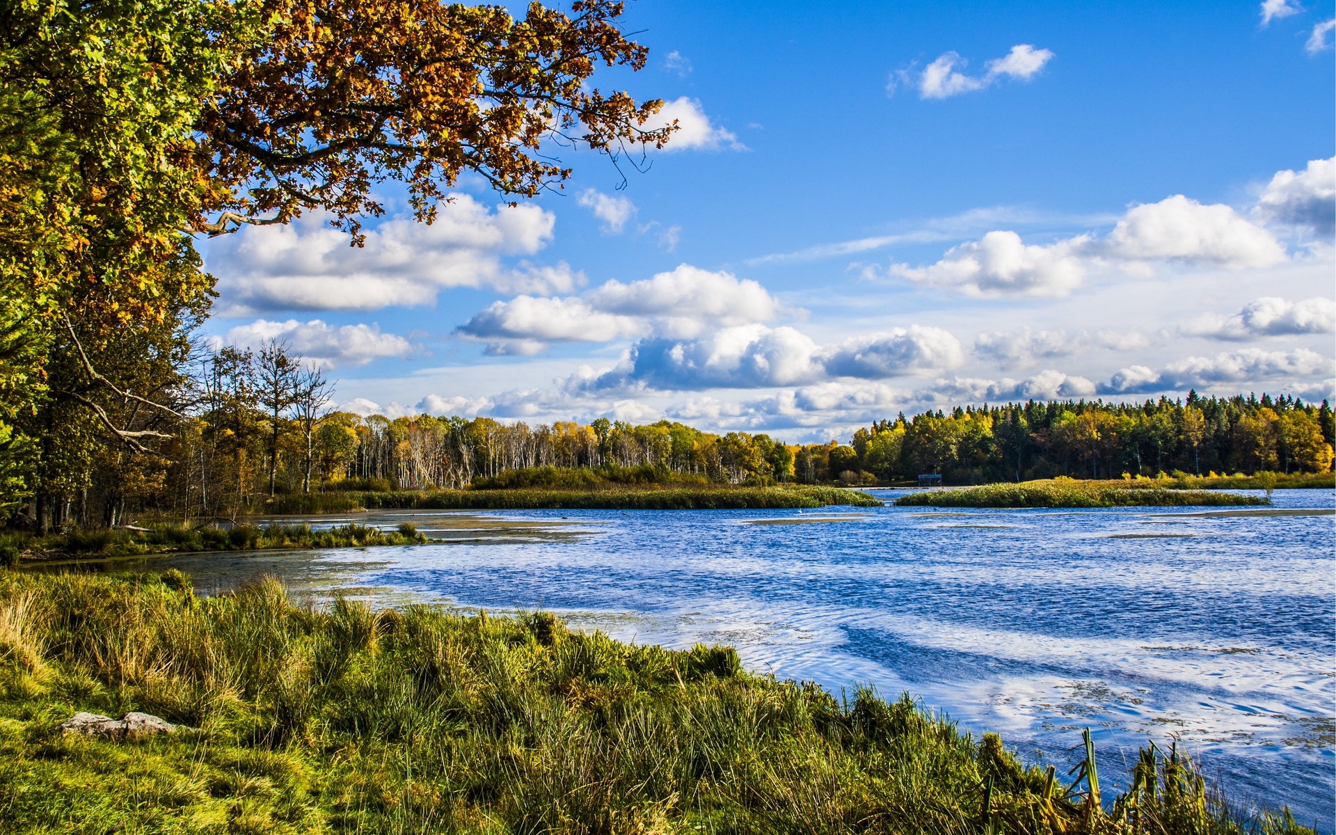 river, Forest, Trees, Nature, Landscape, Hdr, Autumn Wallpaper