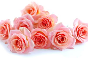 roses, Beautiful, Flowers, Flower, Bouquet