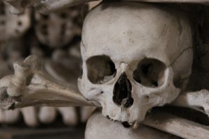 skull, Bones