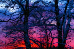winter, Sunset, Trees, Snow, Landscape