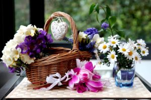 camomiles, Cyclamen, Hyacinths, Wicker, Basket, Flowers