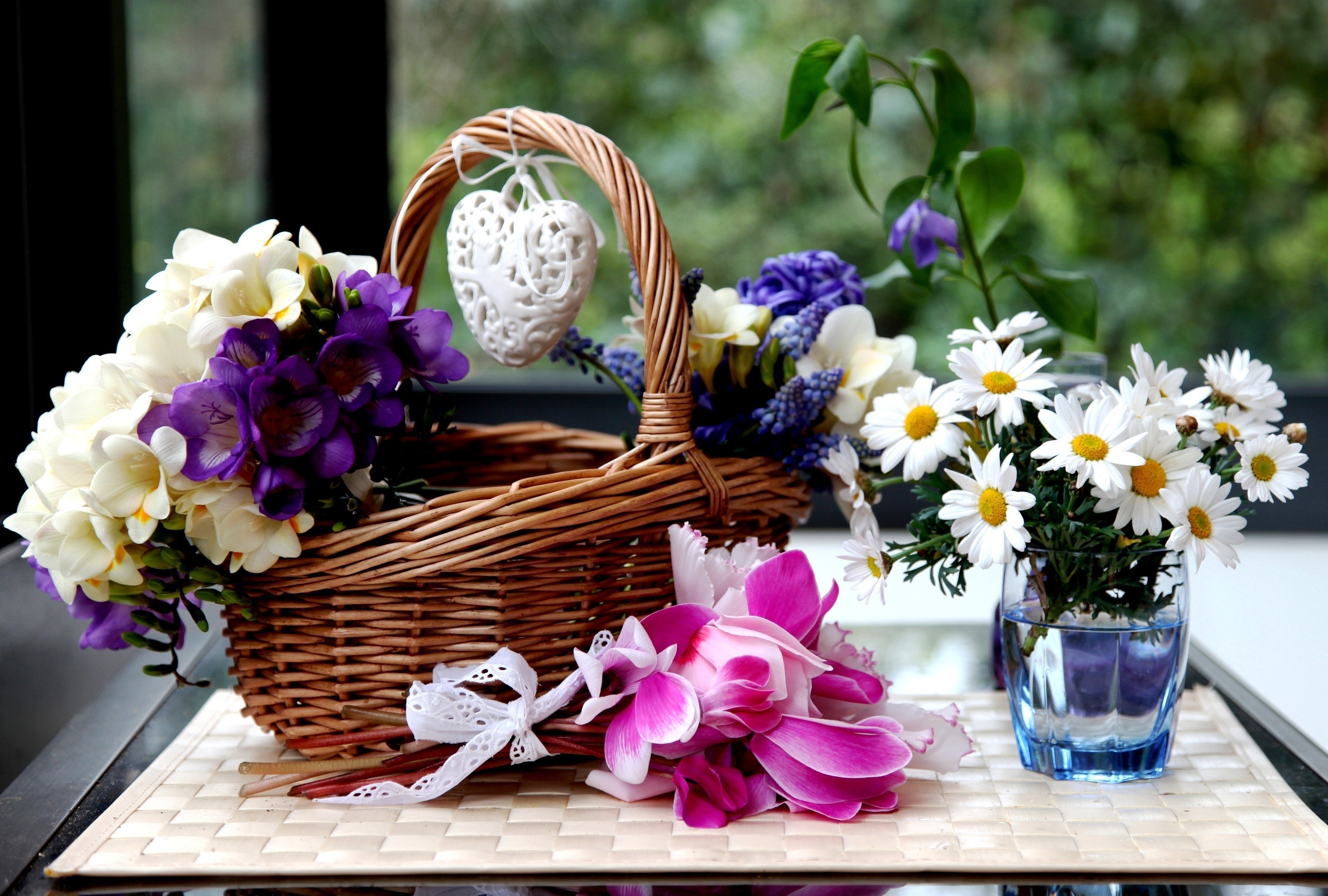 camomiles, Cyclamen, Hyacinths, Wicker, Basket, Flowers Wallpaper